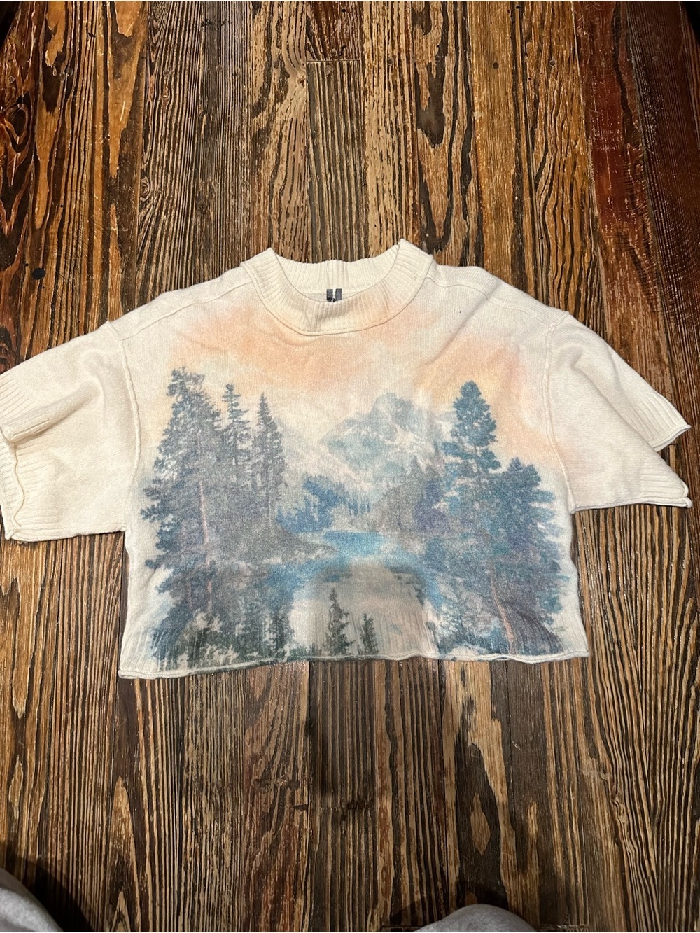 ANTHROPOLOGIE Scenic Mountain Crop Sweater in Cream and Blue